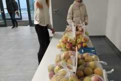 WhatsApp-Image-2022-12-18-at-09.04.53