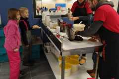 WhatsApp-Image-2022-12-18-at-09.33.28