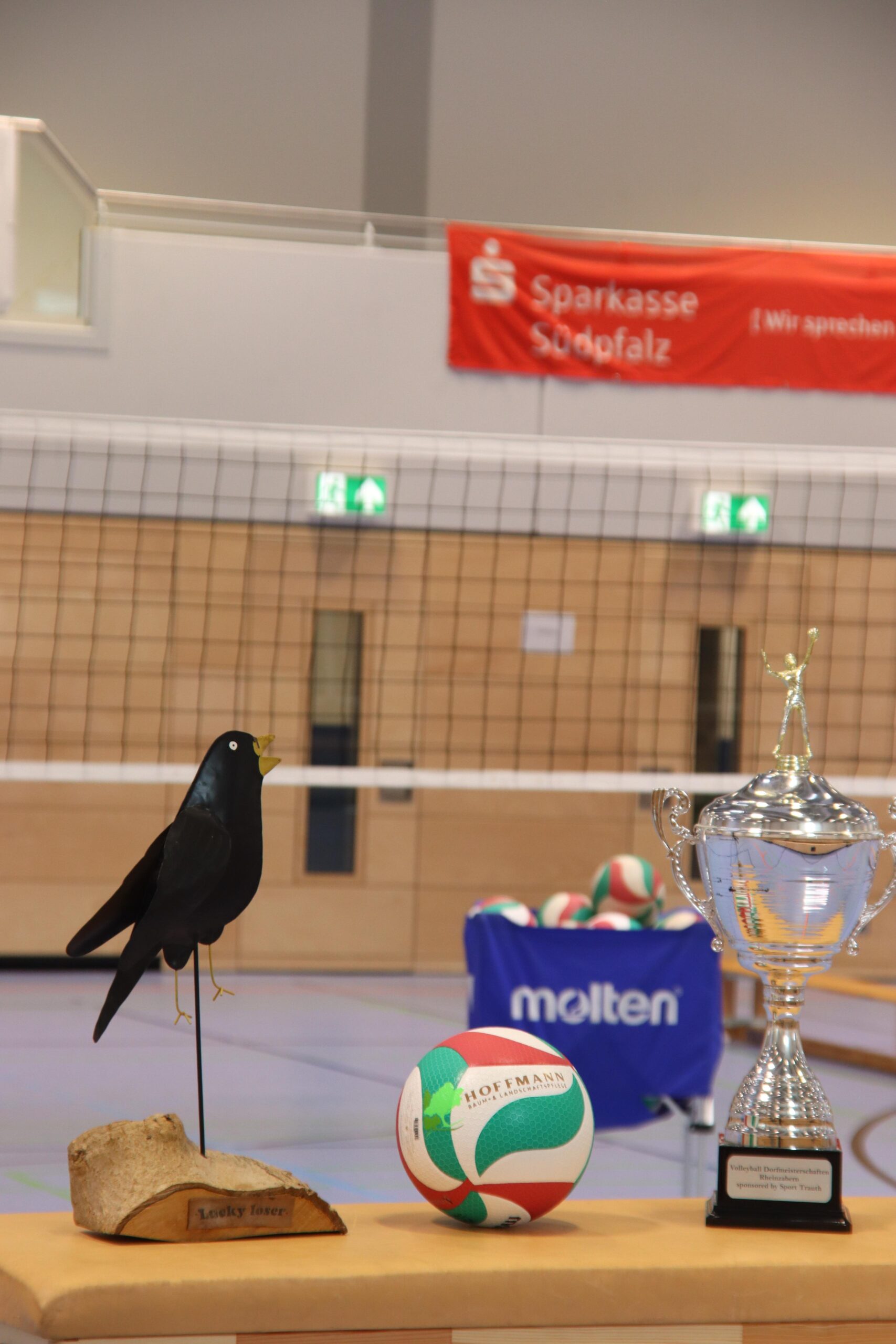 Abteilung Volleyball: Erstes Dorfturnier unter frisch gewählter Abteilungsleitung – Ein voller Erfolg